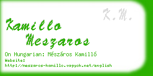kamillo meszaros business card