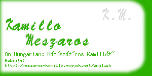 kamillo meszaros business card